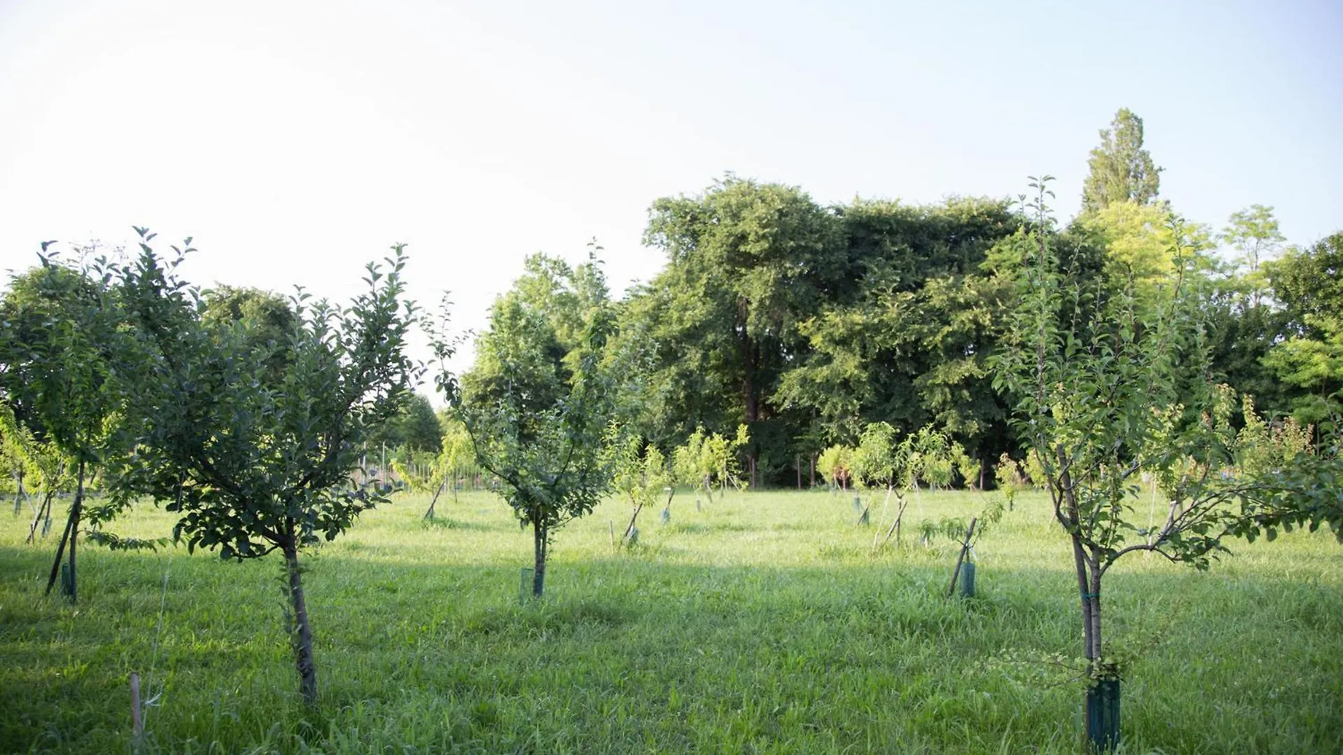 Il Filo Rosso B&B Abano Terme 0*,  Italien